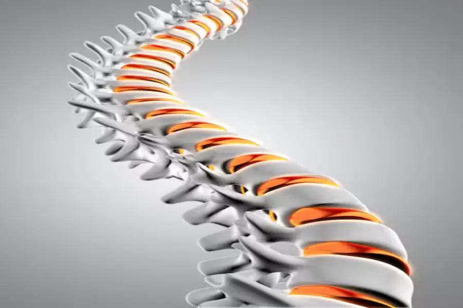 spine pic